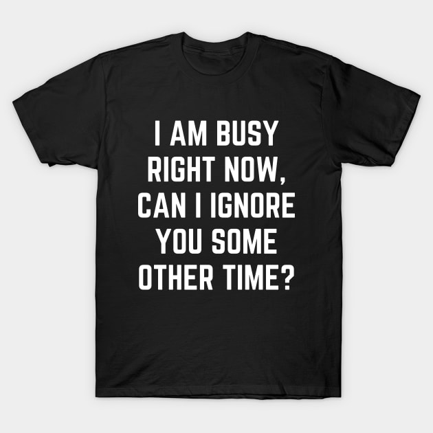 I Am Busy Right Now Can I Ignore You Some Other Time T-Shirt by Word and Saying